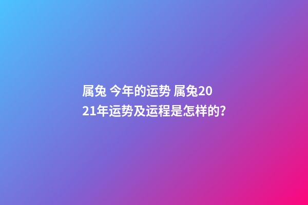 属兔 今年的运势 属兔2021年运势及运程是怎样的？-第1张-观点-玄机派